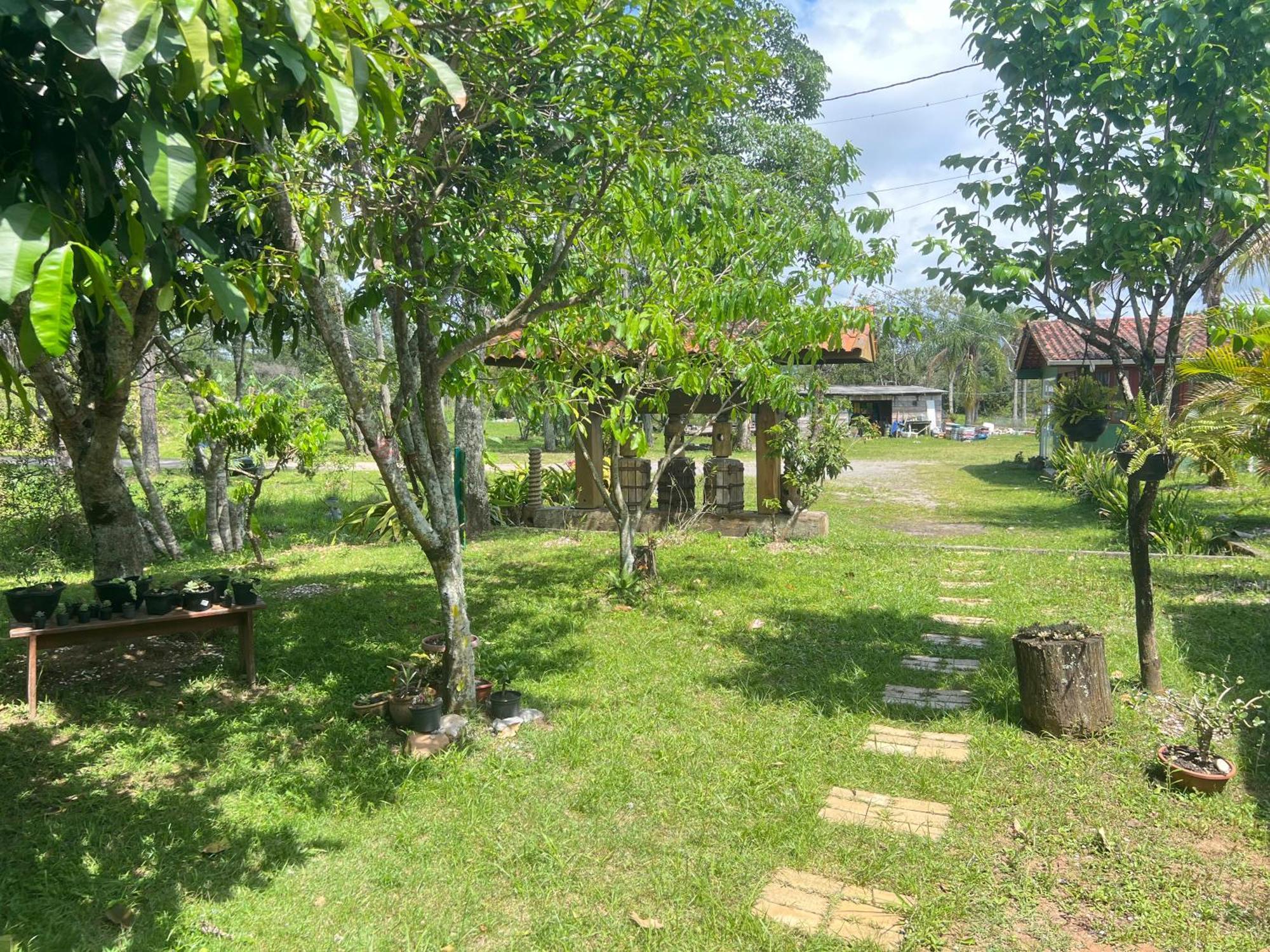 Morada Fenix Bed & Breakfast Guarda do Embaú Exterior foto
